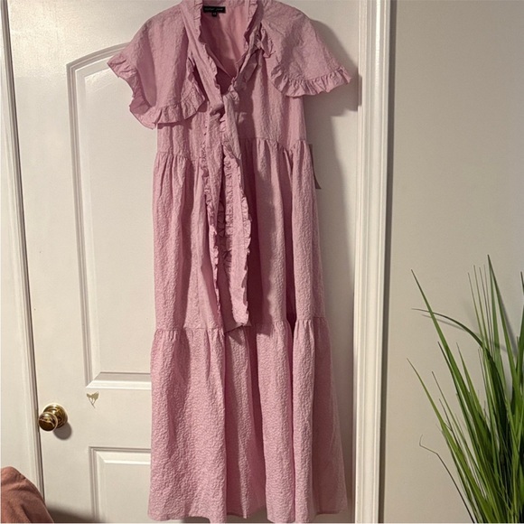 Sister Jane Pink Maxi Dress with Ruffle Details - Picture 4 of 4
